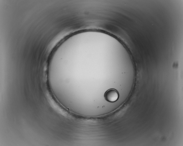 X0000115621126200911101409