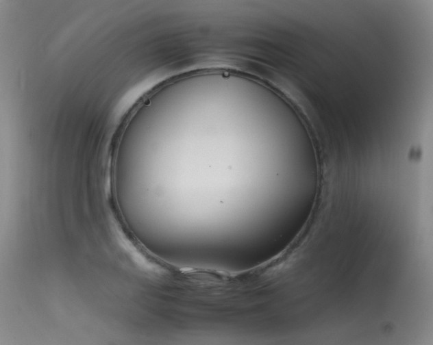 X0000115621127200911101409