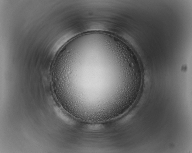 X0000115621129200911101409