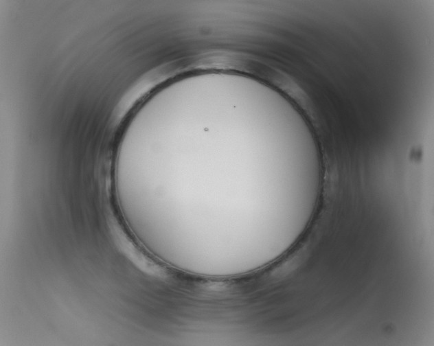 X0000115621130200911101409