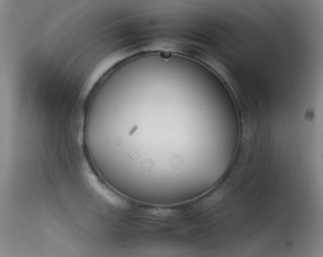 X0000115621131200911101409