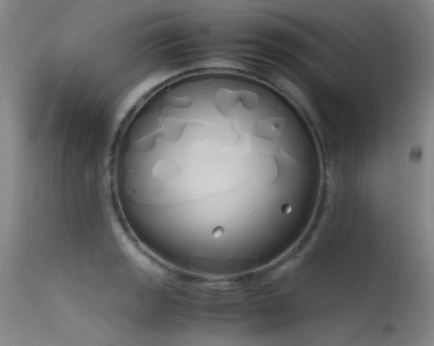 X0000115621133200911101409