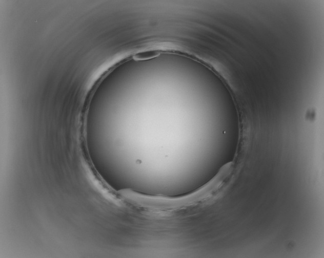 X0000115621134200911101409