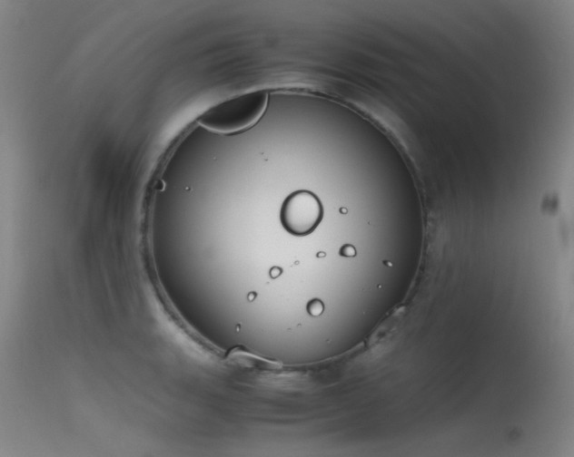 X0000115621135200911101409