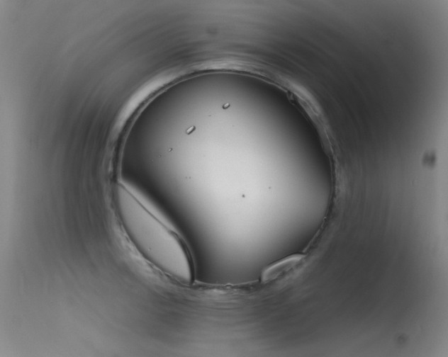 X0000115621138200911101409