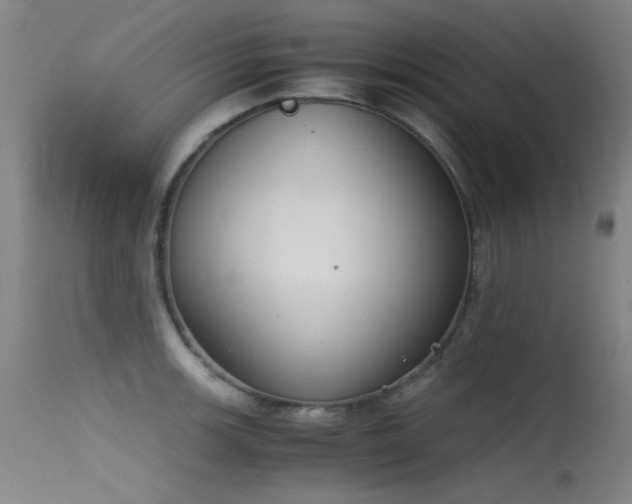 X0000115621139200911101409