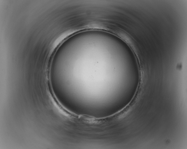 X0000115621141200911101409