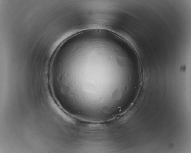 X0000115621142200911101409