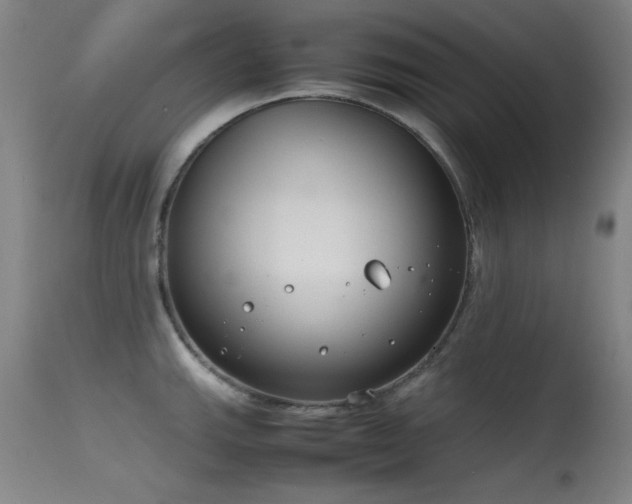 X0000115621143200911101409