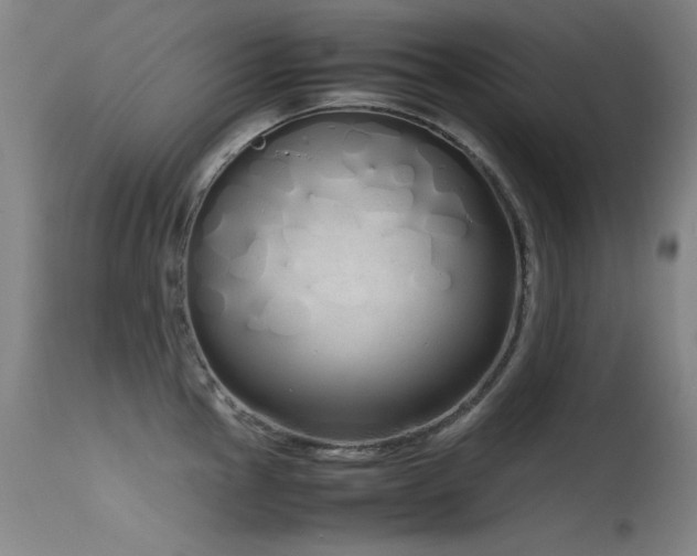 X0000115621145200911101409