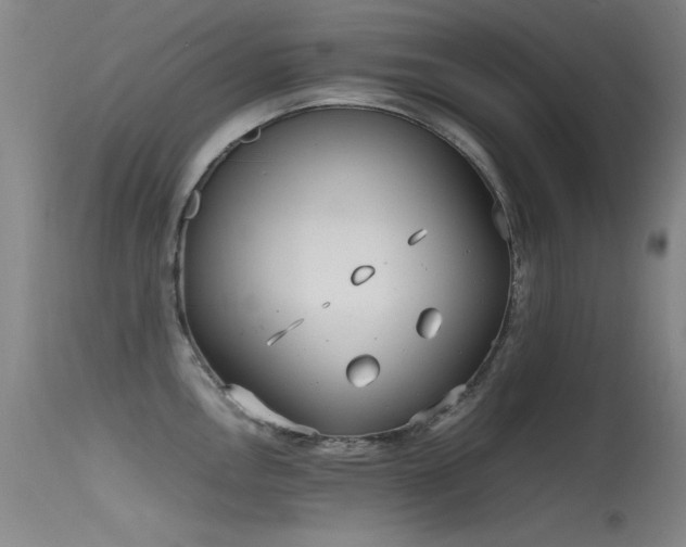 X0000115621146200911101409