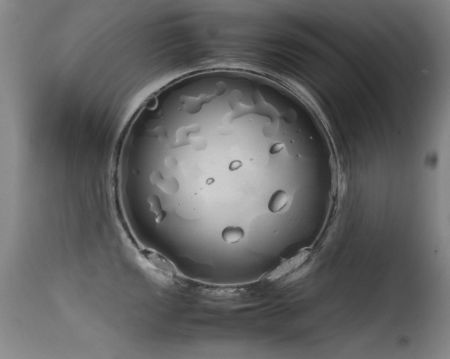 X0000115621149200911101410