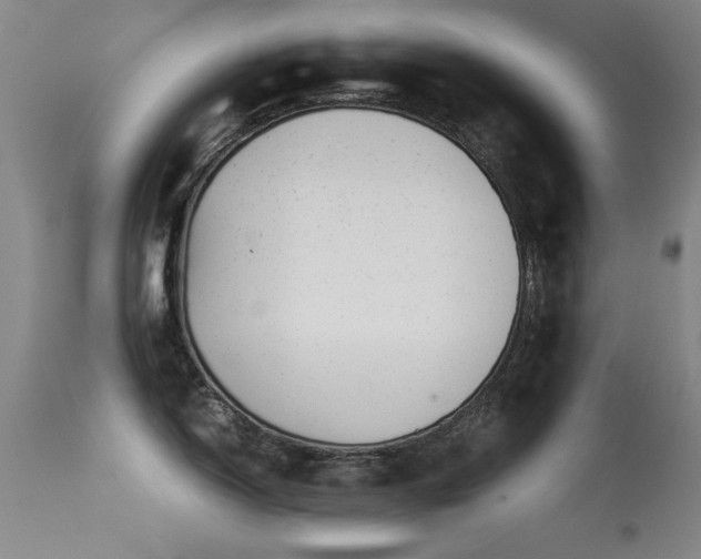 X0000115621150200911101410