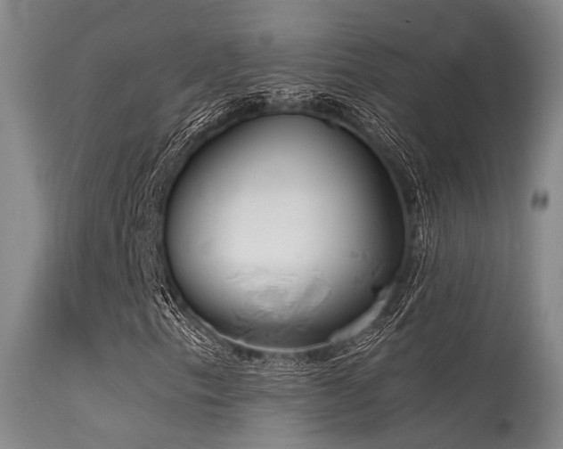 X0000115621153200911101409