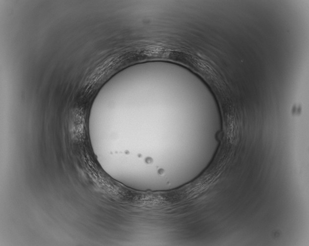 X0000115621154200911101409