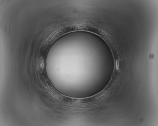 X0000115621155200911101409