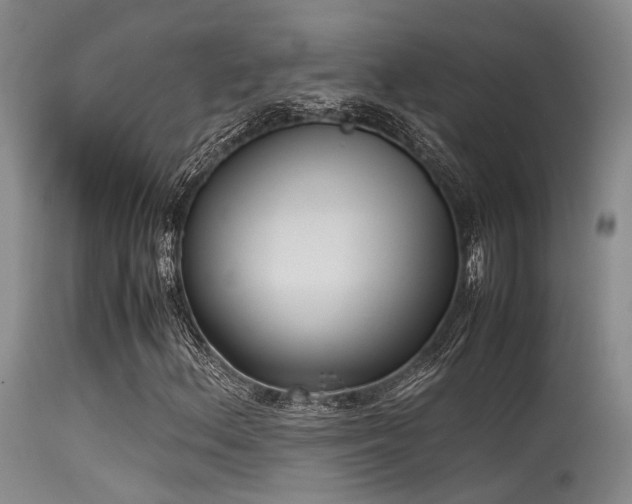 X0000115621156200911101409