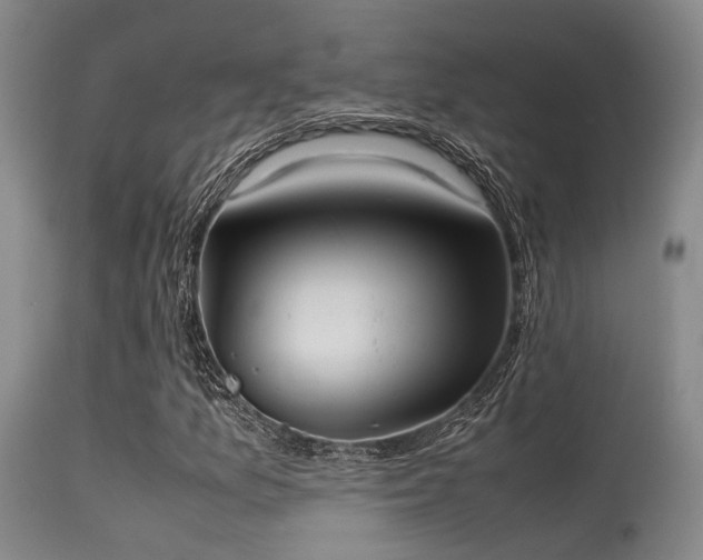 X0000115621157200911101409