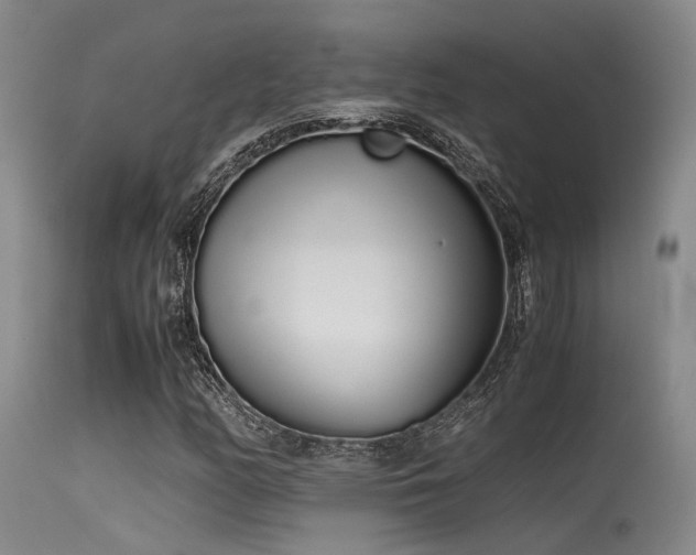 X0000115621158200911101409