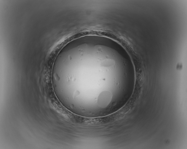 X0000115621159200911101409