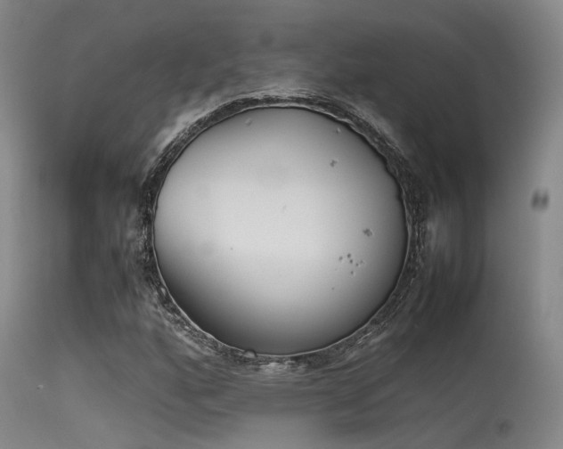 X0000115621160200911101409