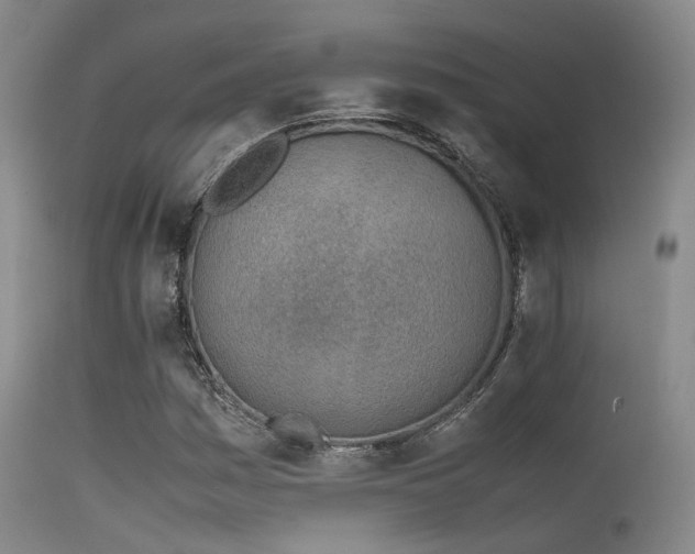 X0000115621161200911101409