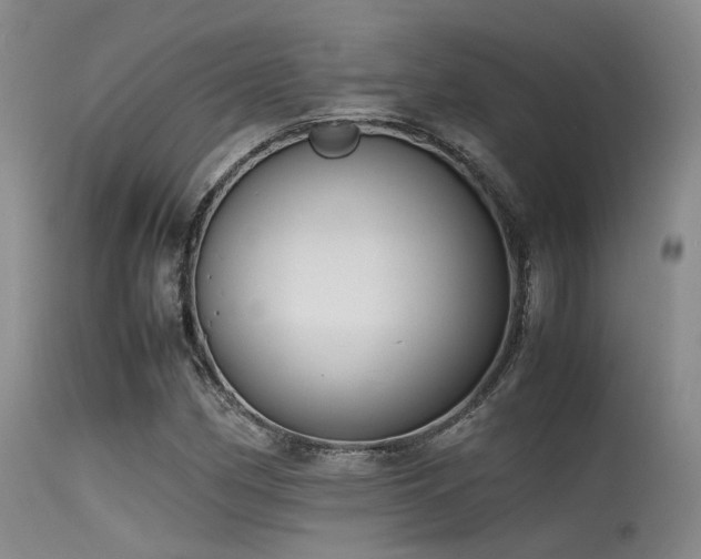 X0000115621162200911101409