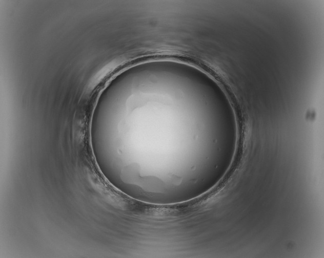 X0000115621163200911101409