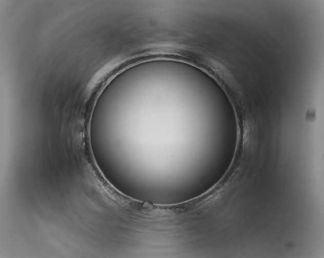 X0000115621164200911101409