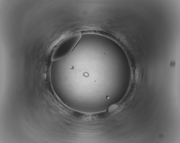 X0000115621165200911101409