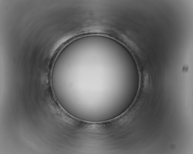 X0000115621166200911101409