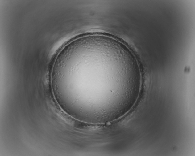 X0000115621167200911101409