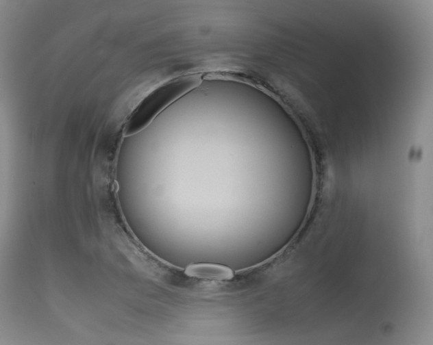 X0000115621169200911101409