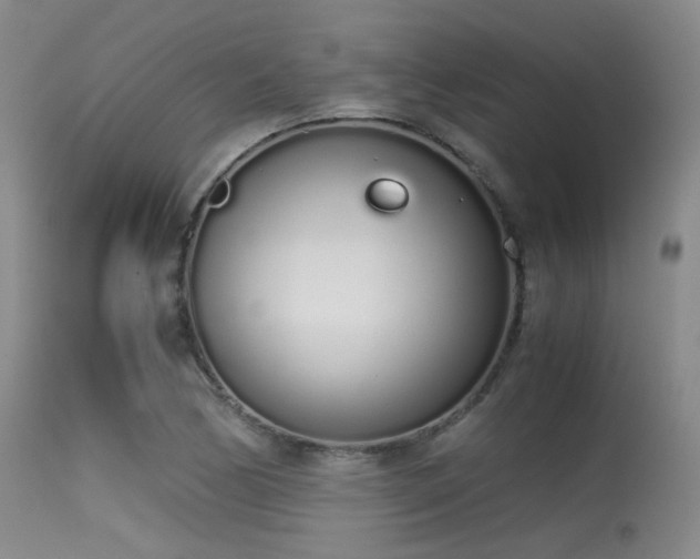 X0000115621170200911101409