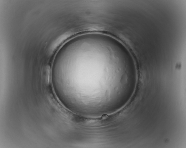 X0000115621171200911101409