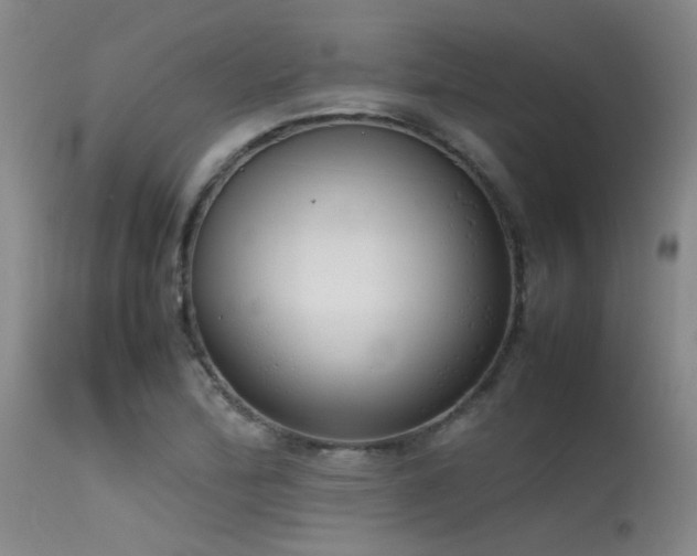 X0000115621172200911101409