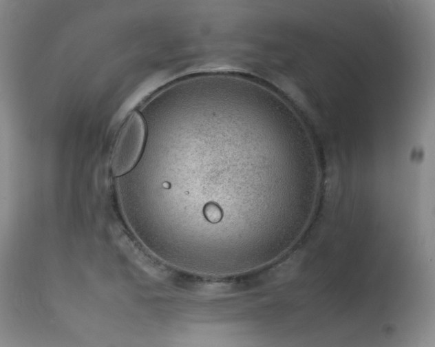 X0000115621173200911101409