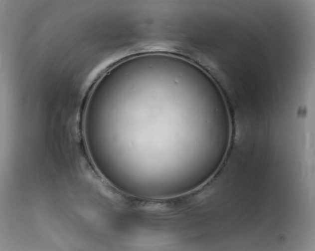 X0000115621174200911101409