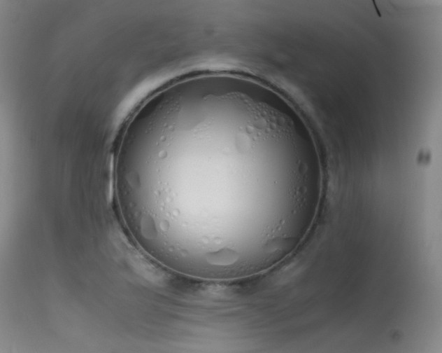 X0000115621175200911101409