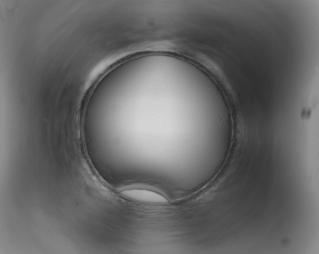 X0000115621176200911101409