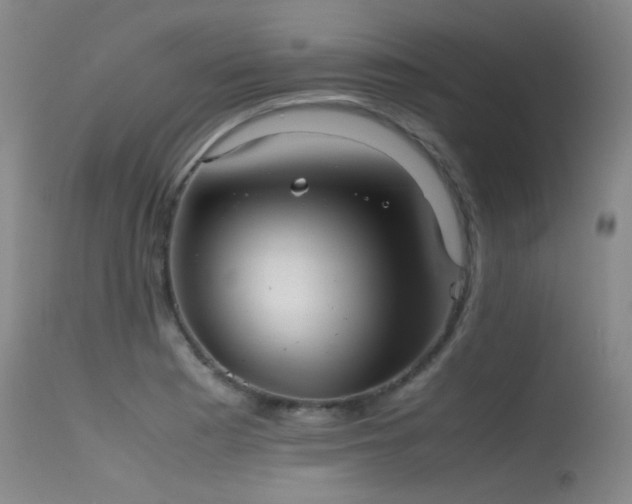 X0000115621177200911101409