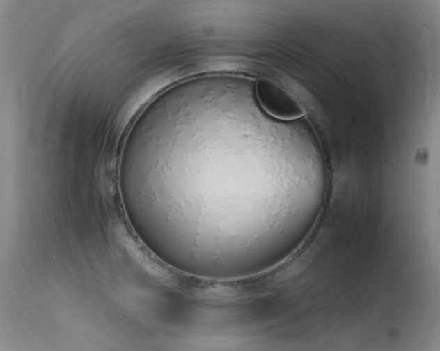 X0000115621178200911101409