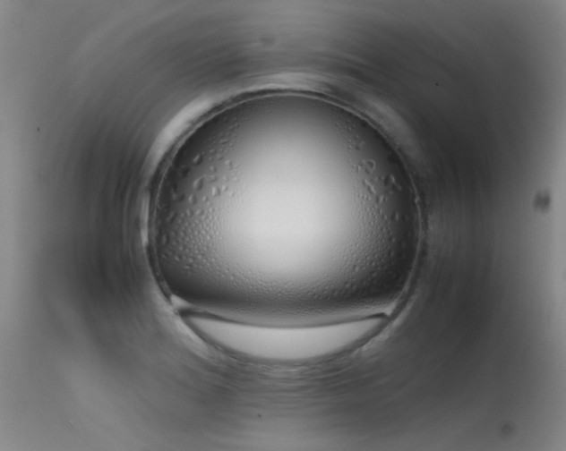 X0000115621180200911101409