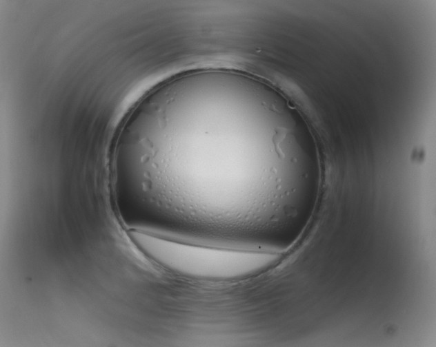 X0000115621184200911101408