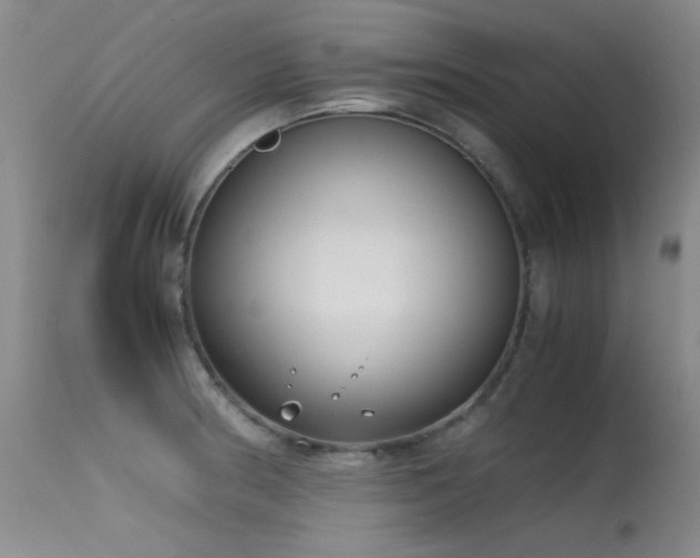 X0000115621186200911101408