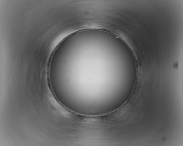 X0000115621187200911101408