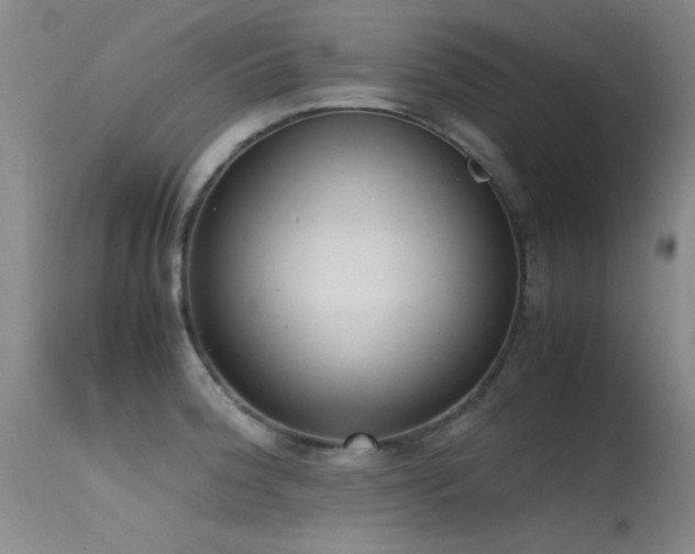 X0000115621188200911101408