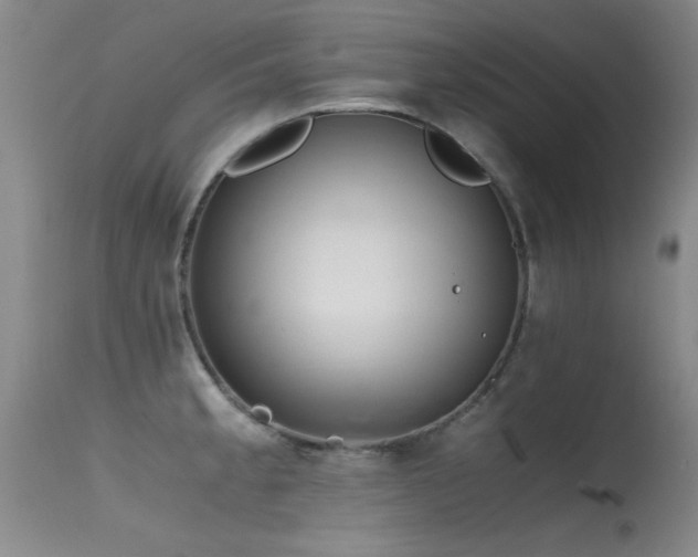 X0000115621189200911101408