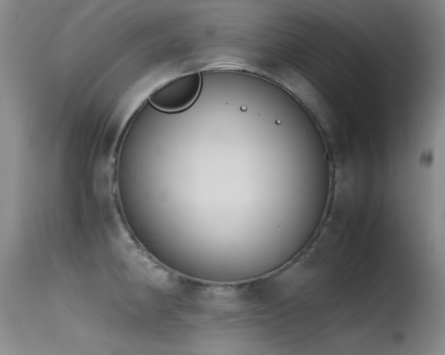 X0000115621190200911101408