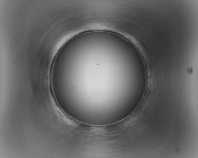 X0000115621191200911101408